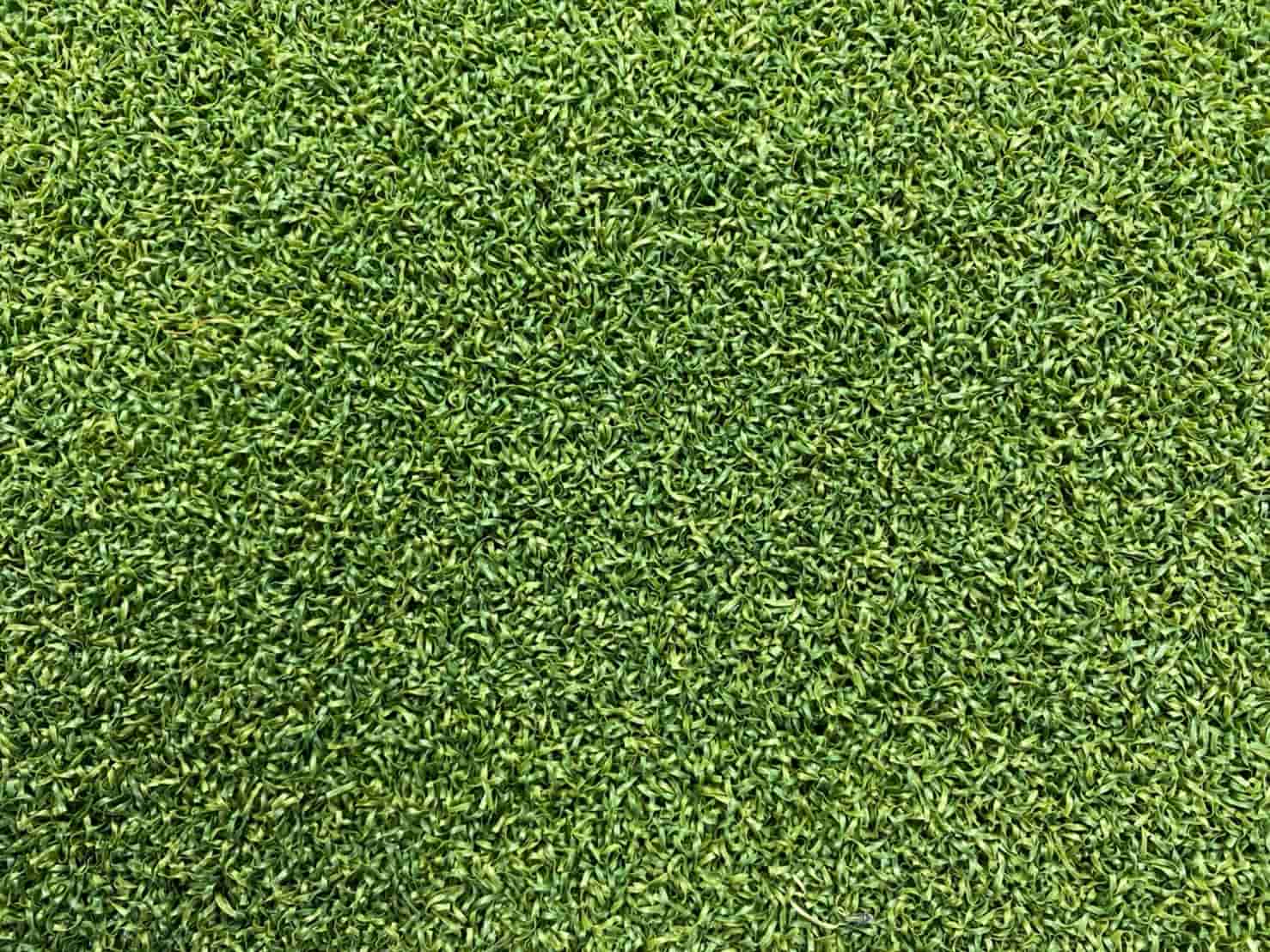 Image Background Image Background
